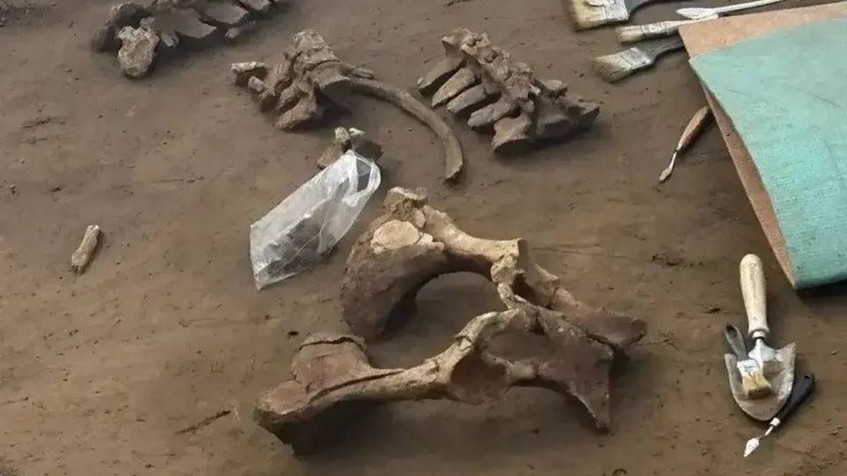 ���������&nbsp; ����� ������� ������� �� ���������� ���������� ��������� � �����������