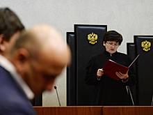 Для народа и системы: В КПРФ призвали сделать дела о госизмене открытыми