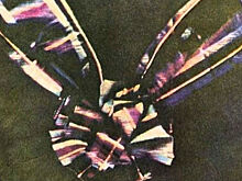 9 первых в мире фотографий