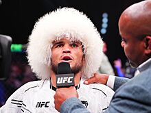 Умар Нурмагомедов, бой за пояс UFC в легчайшем весе, Шон О’Мэлли — Мераб Двалишвили, UFC 306, Хабиб Нурмагомедов