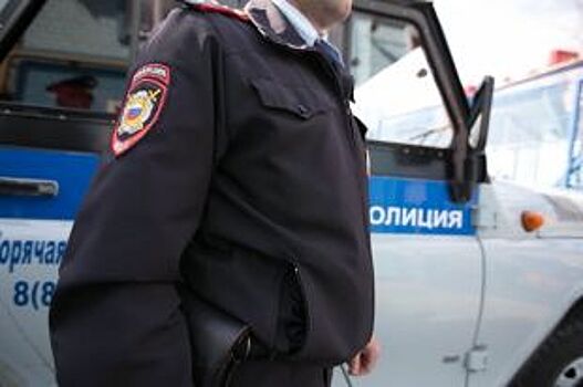 В Гороховце мужчина выдумал грабеж, чтобы проверить работу полиции