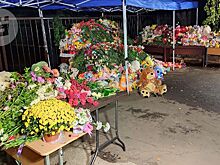 В Ижевске создали оперштаб по поддержке пострадавших при стрельбе в школе №88