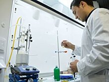 Новосибирский губернатор поддержал три новых масштабных инвестпроекта