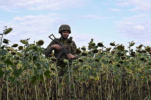 На Украине пожаловались на пропасть между военными и гражданскими