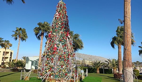 В Египте могут пропасть новогодние банкеты