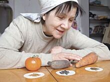 Семена с инкрустацией. Как выбрать посадочный материал?