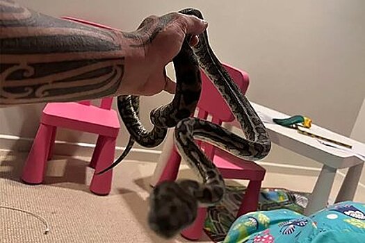 Мальчик проснулся от укуса и обнаружил змею в своей постели