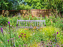 За мусор на участке у собственника хотят изымать землю