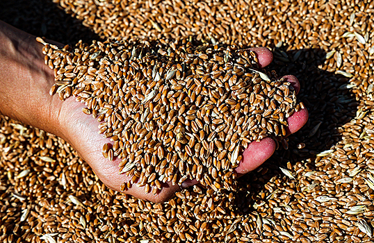 "Роснано" заявило о взаимодействии с силовиками в расследовании злоупотреблений