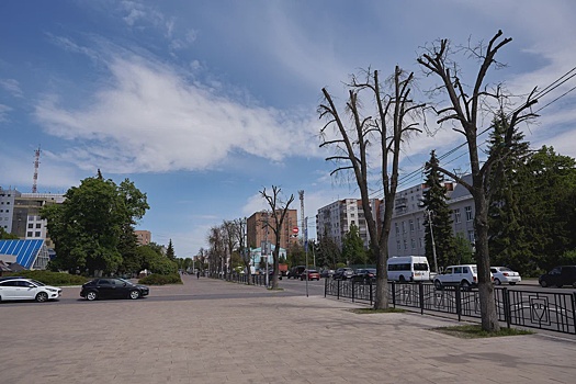 Танцплощадка, велодорожки и зелень