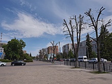 Танцплощадка, велодорожки и зелень