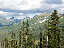 Инспекторам в особо охраняемых природных территориях Красноярского края предложили повысить зарплату