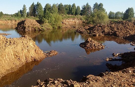 Минприроды оценило ущерб от осушения Шиловских болот