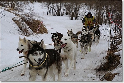 «Собак поднимало в воздух»: каюры «Берингии» на Камчатке прошли перевал