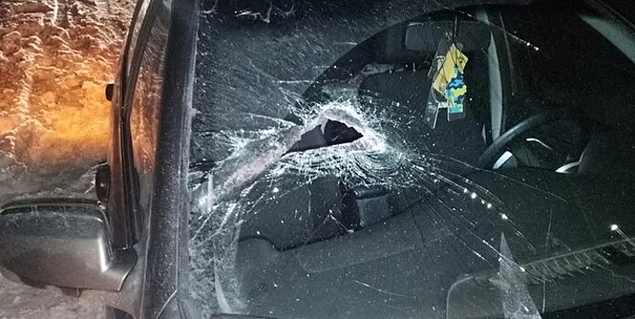 В Самарской области кусок металла отлетел от грузовика и пробил лобовое стекло легковушки, пострадал пассажир