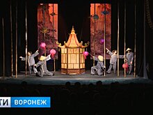 Арт-директор Воронежского театра кукол: Петербургские зрители оказались горячее воронежских