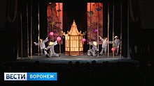 Арт-директор Воронежского театра кукол: Петербургские зрители оказались горячее воронежских