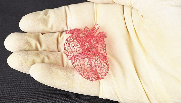 Сладкая биоинженерия: новый 3D-принтер печатает сахарную основу для искусственных органов