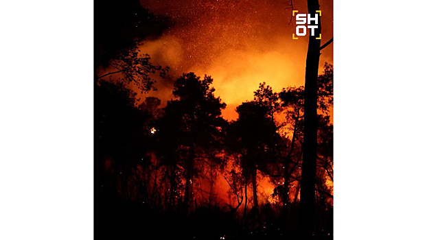 Российские туристы вернулись в гостиницы после пожара в Турции