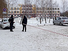 В СК РФ возбудили уголовное дело по факту стрельбы в брянской школе