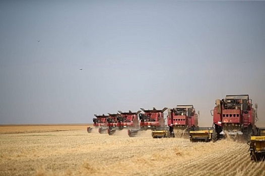 Волгоградская область наращивает объем экспорта сельхозпродукции