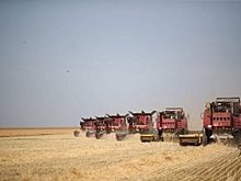 Волгоградская область наращивает объем экспорта сельхозпродукции