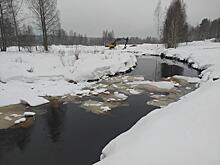 В Югре трое рыбаков застряли в болоте на 9 дней: пришлось звать спасателей