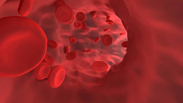 «Супермагниты»: ученые назвали группу крови наиболее привлекательных людей