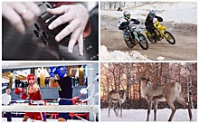 Выходные в Нижнем Новгороде: с мотогонками, боксом и электронной музыкой