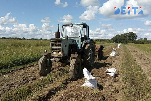 "Дальневосточный гектар" отбирают у бойца СВО из Приморья (ОБНОВЛЕНО)