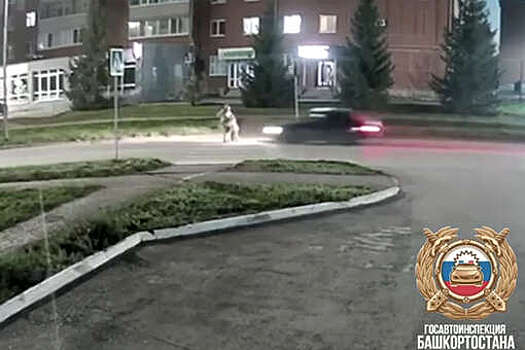 В Башкирии 20-летний лихач сбил мать с ребенком на переходе, женщина не выжила
