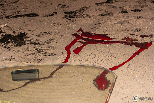 Две женщины погибли под колесами иномарки в Приамурье