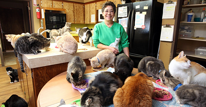 Женщина приютила дома 1 100 котов, а сама переехала в фургончик рядом