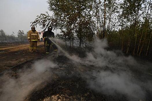 Красноярские лесные пожарные отправляются в Коми
