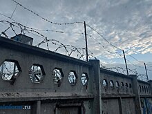 Пензенец из-за наркотиков проведет 11 лет в колонии особого режима