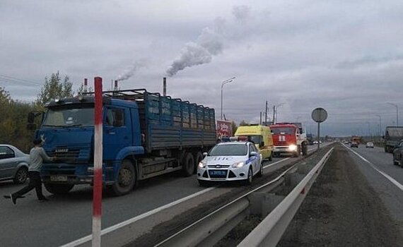 Минниханов заявил о необходимости создавать индустриальные площадки в районах Татарстана