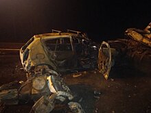 Водитель цементовоза погиб при столкновении с фурой и легковушкой в Удмуртии