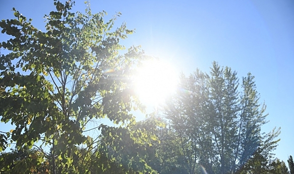 Жителям Волгоградской области 18 июля грозят геомагнитные возмущения