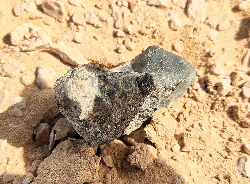 Найденный в Египте уникальный метеорит пополнил коллекцию российских астрономов