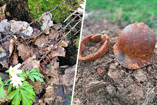 Поисковики нашли останки 303 бойцов Красной армии в Новгородской области