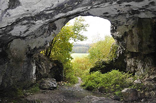 Новый объект Всемирного наследия ЮНЕСКО: пещеры времен ледникового периода на юге Германии
