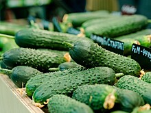 Руспродсоюз: розничные цены на огурцы обновили годовой минимум, упав на 30%