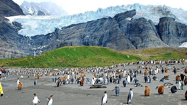 Гигантский айсберг угрожает заповеднику пингвинов