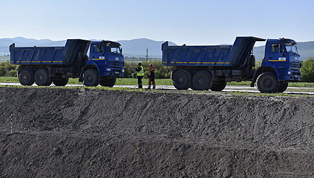 Вдоль трассы "Таврида" планируют высадить более 300 тысяч деревьев