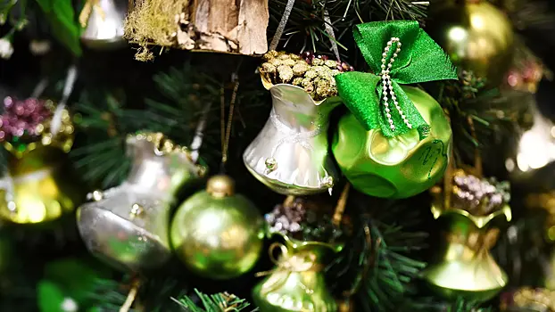 Сбор новогодних подарков для участников СВО начали в ТиНАО