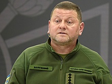 В Британии назвали плохой новостью для Украины соперничество Зеленского с Залужным