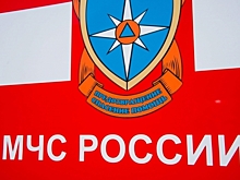 В Волгоградской области за сутки произошло 4 ДТП и 7 пожаров