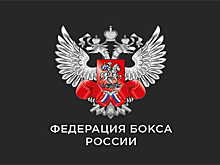 В Ижевске стартует командный Кубок России по боксу