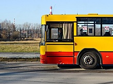 Незаконных перевозчиков будут наказывать строже