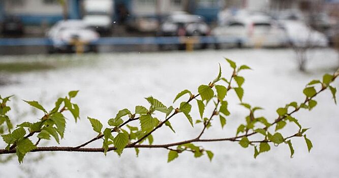 Жители Ямала лепят снеговиков в ожидании лета
